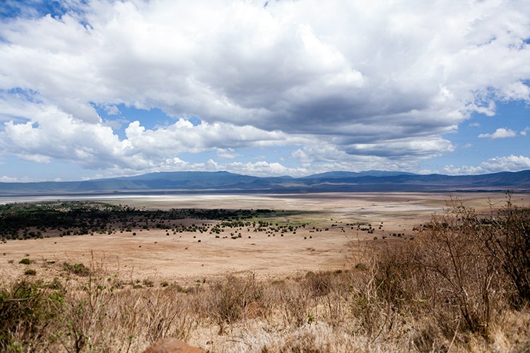 TZA ARU Ngorongoro 2016DEC26 Crater 103